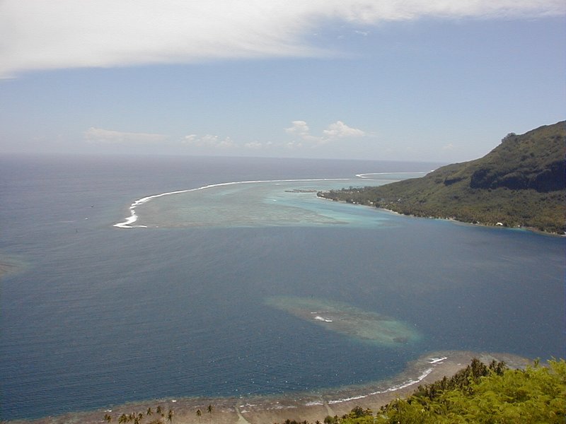 moorea_opunohu_view.jpg, 62 kB