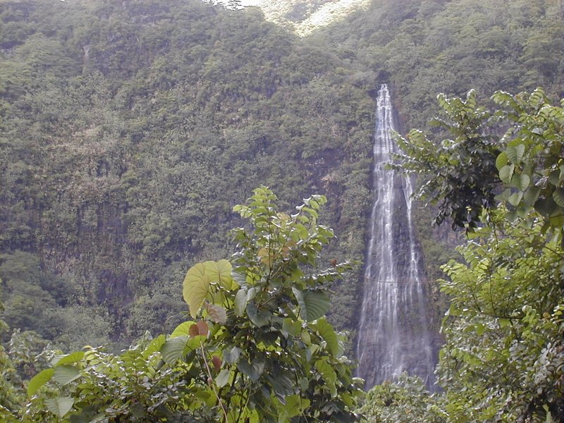 moorea_waterfall2.jpg, 154 kB