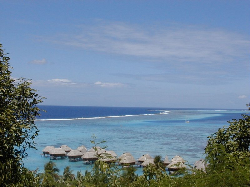 moorea_sofitel_view.jpg, 87 kB